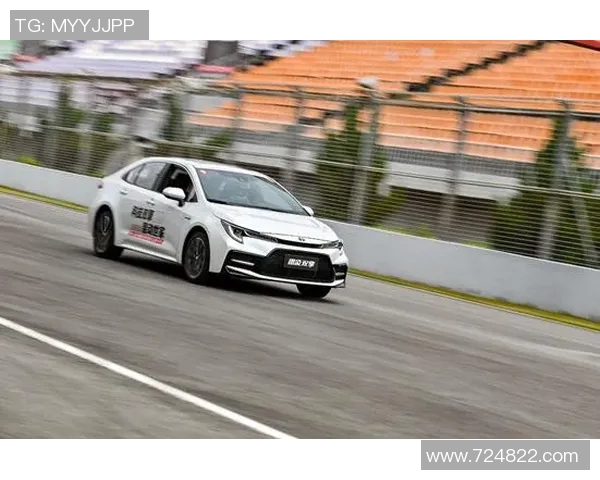 武汉足球队在全国耐力排行榜中荣获第四名展现出强大实力与潜力